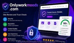 onlyworkmoods-com-explained