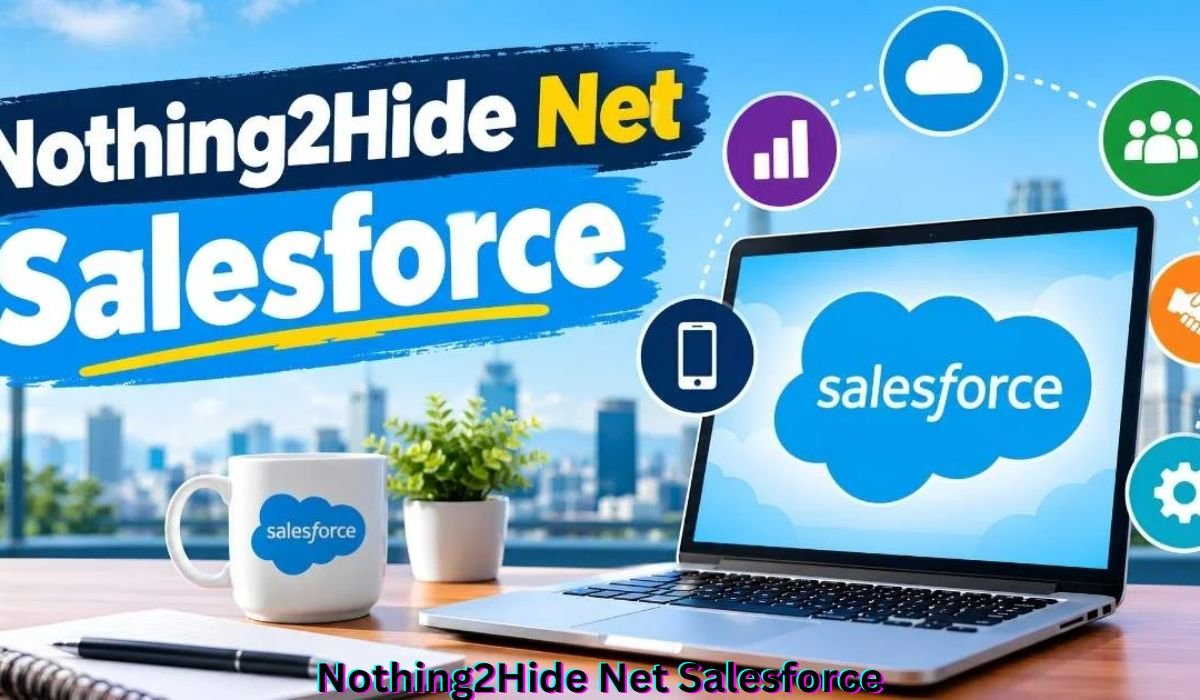 nothing2hide-net-salesforce